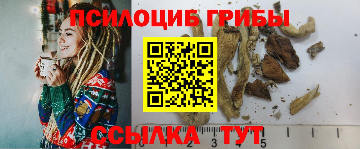 Кимры  Галлюциногенные грибы ЛСД  Вход с VPN 